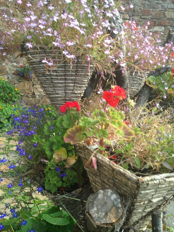 Belstane House Bed & Breakfast Cellardyke Dış mekan fotoğraf